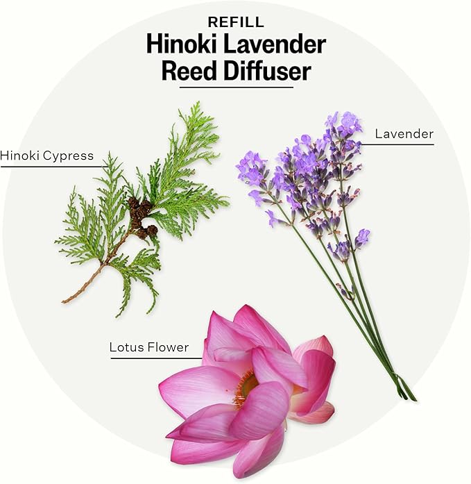 Apotheke Luxury Scented Oil Reed Diffuser Liquid Refill (Hinoki Lavender) - Premium Home Fragrance Diffuser Refill Set with Sticks