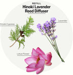 Apotheke Luxury Scented Oil Reed Diffuser Liquid Refill (Hinoki Lavender) - Premium Home Fragrance Diffuser Refill Set with Sticks