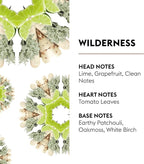 Maison Berger - Wilderness - Air Freshener - Fragrance Refill for Reed Sticks and Ceramic Diffuser - 6.76 Fluid Ounces - 200 Milliliters