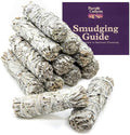 Purple Canyon Sage Smudge Kit - (12 Pack) - White Sage Smudge Sticks Incense Kit for Meditation Home Cleansing Aromatherapy and Smudge Rituals