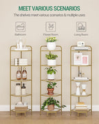 Hzuaneri Corner Shelf Stand, 5-Tier Glass Bookshelf Bookcase, Bathroom Organizer, Plant Stand, Steel Frame, Tempered Glass, Modern Style for Living Room, Bathroom, Kitchen, Golden CS90200G