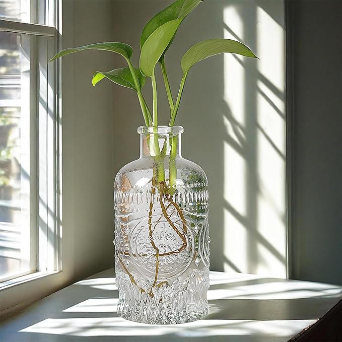 Propagation Vases for Plants, Bud Vases, Small Glass Vase for Flowers, Home Decor, Table Decor, Shelf Decor, Desk Decor, Office Decor