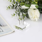 Hipiwe Acrylic Display Stand, Three Metal Peg Display Easel Stand for Fossils Crystal Minerals Rocks and Geodes, Medium,Silver