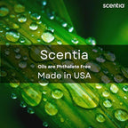 Scentia Fragrance Oil Blend, Inspired by Iconic Perfume,Home Luxury Scents, Essential Oil Blend for Aromatherapy Diﬀusers, Humidifiers & Candle Making -Dream Away- 50 ml, 1.69 Fl Oz, Thanksgiving Gift