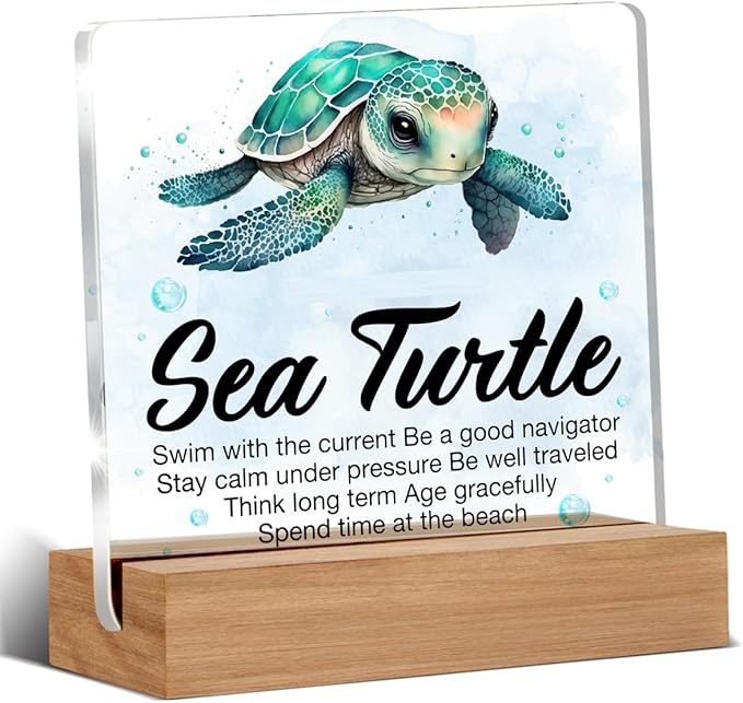 Inspirational Motivational Gifts - Turtle Gifts for Women Men - Sea Turtle Clear Desk Decorative Sign Home Decor