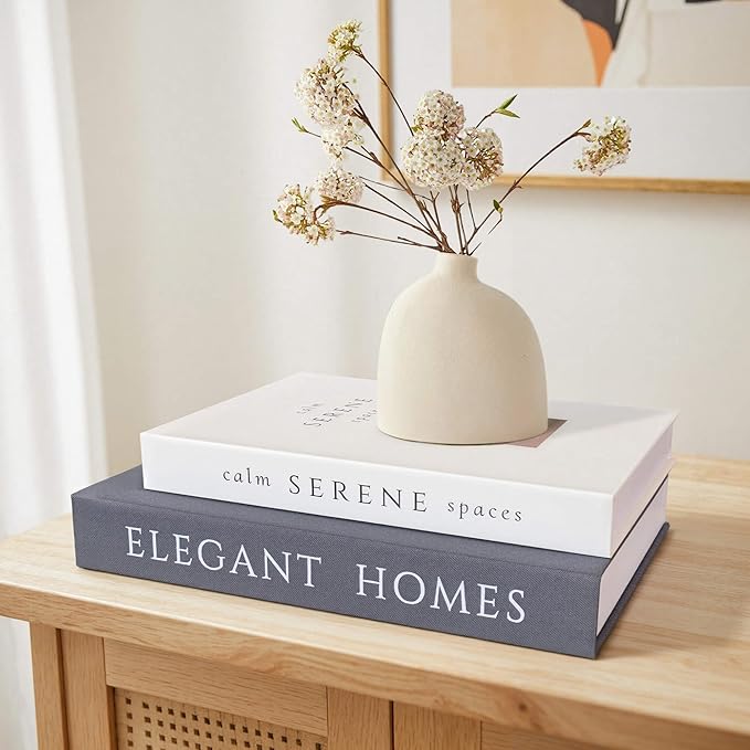 Decorative Books Set of 2, Faux Books Storage Box, Modern Home Decor for Coffee Table, Bookshelf, Mantel