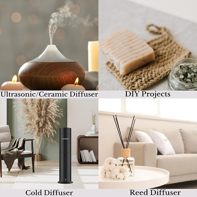 Fierce-Inspired Diffuser Oil - Scentia You Fragrance Oil Perfume Dupe - 50 mL, 1.69 Fl oz Diﬀusers - A & F Inspired Essential Scented Oil - Best for Aromatherapy, SPA and Home, Thanksgiving Gift