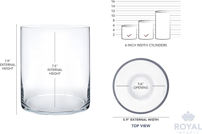 Royal Imports Flower Glass Vase Decorative Centerpiece for Home or Wedding - Cylinder Shape, 8" Tall, 6" Opening, Clear
