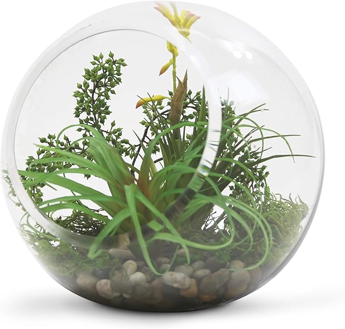 WGV Slant Cut Bowl Glass Vase Bulk, Width 9", Height 9", Clear Round Globe Planter Terrarium Orb, Candy Dish, Fruit Jar, Floral Container for Home Office Decor, 4 Pieces