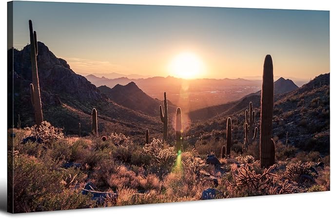 Western Sonoran Desert Wall Art Sunset Saguaro National Park Posters Saguaro Cactus Decor Arizona Mountain Pictures Southwestern Nature Landscape Canvas Prints Artwork for Living Room Bedroom 20x40"