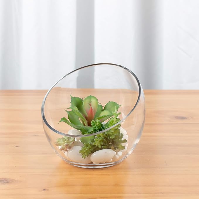 WGVI Clear Slant Cut Bowl Glass Vase, Glass Terrarium, Candy Dish, Glassware, Slant Open: 7". Height: 6" x 2.7". Base: 4" (1 Piece)
