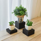 MOOCA Customizable Wooden Display Risers Set - 3 Different Height Stands for Jewelry, Watches, Cosmetics, and Accessory, Black Color
