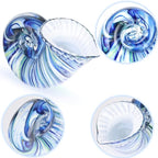 DOVDOV Hand Blown Glass Shell Decoration, Art Glass Conch Sculpture, Colorful Shell Statue for Room Office Coffee Table Living Room TV Stand Cum Home Decoration.