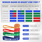Resistance Bands Set for Men & Women - 4 Levels Exercise Band with Door Anchor, Pull Up Bands for Strength Training, Stretching, Powerlifting, Home Workouts