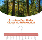 TOPIA HANGER Cedar 2 in 1 Belt Tie Hanger for Closet Max 30 Belts with 30 Ties Capacity, 20 Hooks Belt Tie Racks Hanger for Closet Organizer Storage “U” Fit Belt and “一” Fit Tie - CT53C