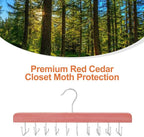 TOPIA HANGER Cedar 2 Pack 2 in 1 Belt Tie Hanger for Closet Max 60 Belts with 60 Ties Capacity, 20 Hooks Belt Tie Racks Hanger for Closet Organizer Storage Curved Fit Belt and Flat Fit Tie - CT60C