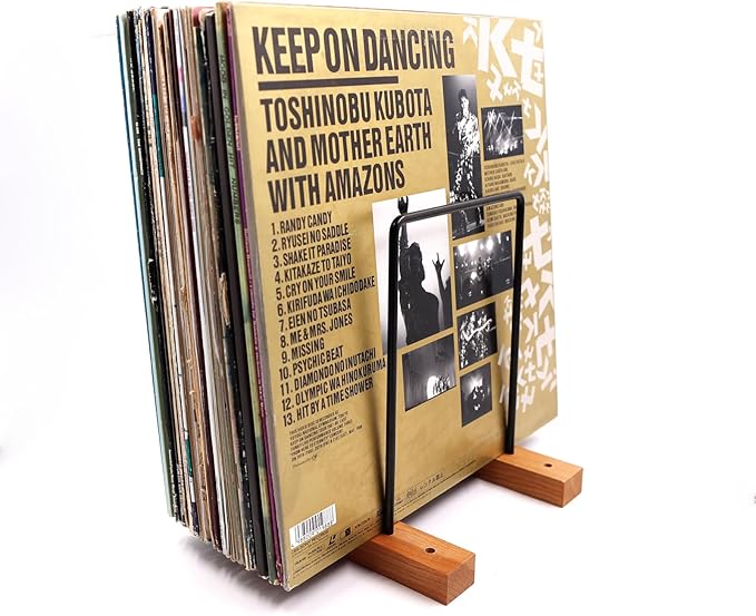 40 LP Vinyl Record Storage Solid Cherry Wood Vinyl Record Holder Magazine Organizer Record Display Rack For Albums (Iron)