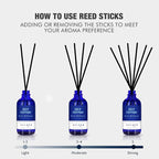 Xcleen July Cotton Reed Diffuser Set, 3.7 Oz Aromatherapy Scented Oil Diffuser Sticks, Great Room Air Fresheners, Best Housewarming Gift idea - Giving, Home & Office Decor