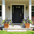 Artificial Morning Glory Fake Flowers for Outdoor Planter Decoration, 2 Pcs Petunias Realistic UV Resistant Faux Silk Flowers for Garden Balcony Porch Indoor Decor (Purple White)