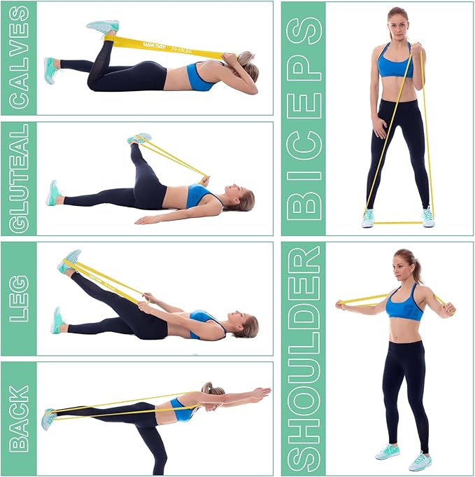 Resistance Bands, Pull Up Bands, Workout Bands for Exercise, Thick Heavy Resistance Band Set with Door Anchor, Elastic Bands for Body Stretching, Training at Home/Gym for Men & Women