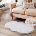 Grey Runner Fuzzy Rug for Bedroom Washable Fluffy Nursery Rugs for Living Room Cute Room 2x4 Rug