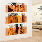 2-Pack 17 Inch Orange Acrylic Magazine Holder, Sleek Wall Mounted Brochure Rack & Floating Bookshelf, Modern Vibrant Magazine Display for Office, Waiting Room, Living Room, Fashion Home Decor