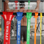Resistance Bands, Pull Up Bands, Workout Bands for Exercise, Thick Heavy Resistance Band Set with Door Anchor, Elastic Bands for Body Stretching, Training at Home/Gym for Men & Women