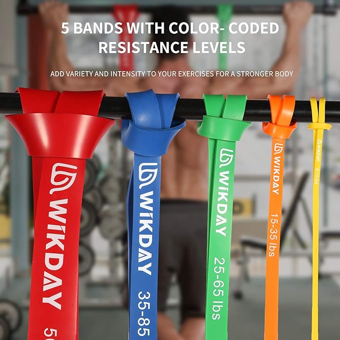Resistance Bands, Pull Up Bands, Workout Bands for Exercise, Thick Heavy Resistance Band Set with Door Anchor, Elastic Bands for Body Stretching, Training at Home/Gym for Men & Women