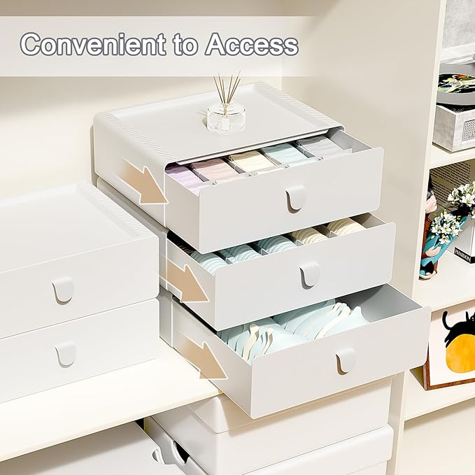Underwear Organizer Drawer, 10 Cells Plastic Panties Drawer, Stackable Closet Organizer, Storage Box for Bras, Socks, Snacks, Grey