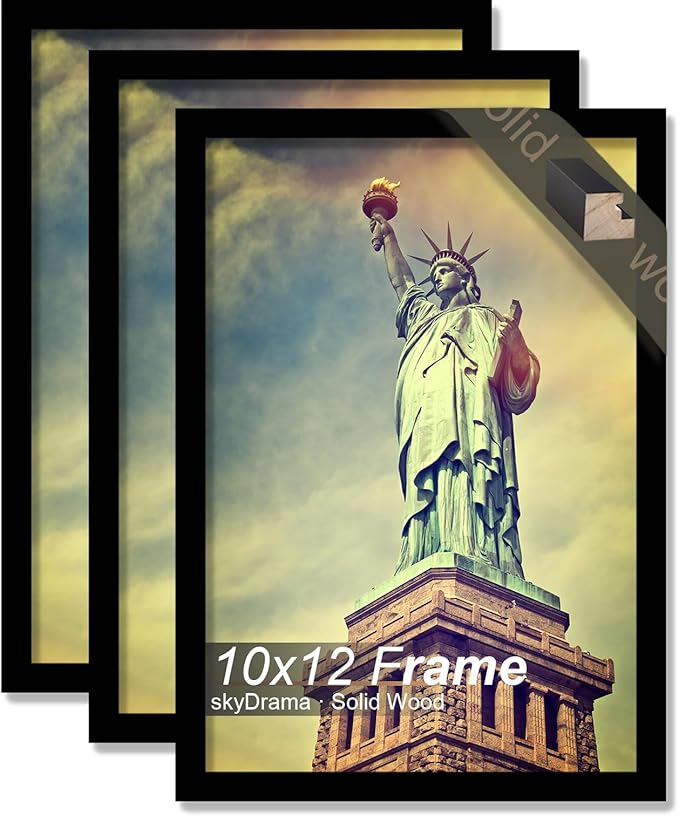 100% Solid Wood 10x12 Picture Frame Set of 3, Black Frame for 10 x 12 Inch Picture Poster Photo, Light Weight 10 by 12 HQ Matte Black Frame for Wall - 3 Pack/Black/10 x12