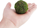 Decorative Moss Balls Set - Fake Moss Balls for Bowl Fillers, Centerpiece Decor, Home Decor, Vase Filler, Wedding Decor, Table Arrangement, Coffee Accents, DIY Crafts (Small - 2"-Set of 12)
