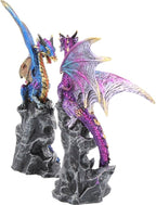 Nemesis Now Realm Protectors Dragon Figurines, Set of Two, Hand-Painted Resin, Fantasy Crystal Ornaments Collectible Decor, 15cm