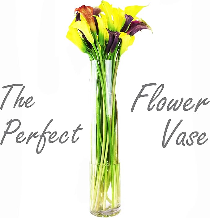 CYS EXCEL Glass Cylinder Vase (H:28" D:5") | Multiple Size Choices Glass Flower Vase Centerpieces | Hurricane Floating Candle Holder Vase