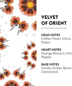 MAISON BERGER - Velvet of Orient - Air Freshener - Fragrance Refill for Reed Sticks and Ceramic Diffuser - 6.76 Fluid Ounces - 200 Milliliters