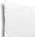EDOW Throw Pillow Inserts, Set of 2 Lightweight Down Alternative Polyester Pillow, Couch Cushion, Sham Stuffer, Machine Washable. (White, 18x18)