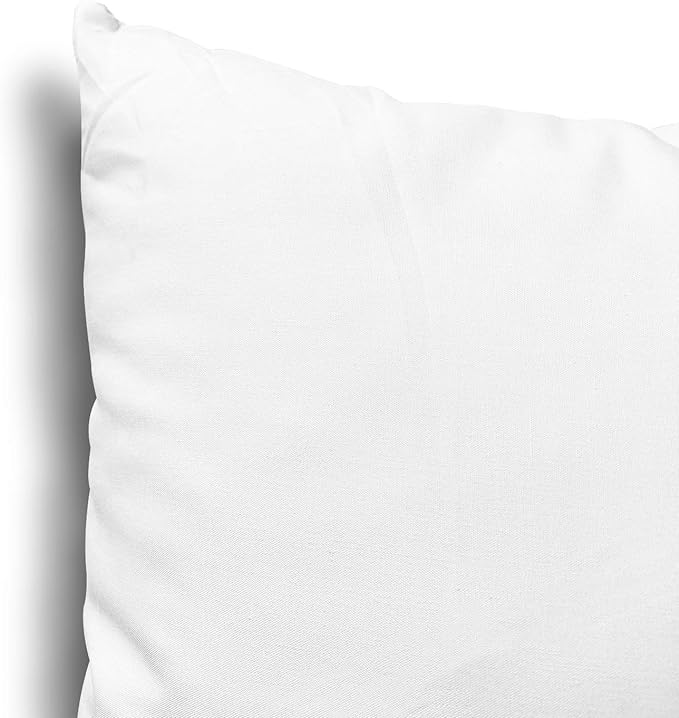 EDOW Throw Pillow Inserts, Set of 2 Lightweight Down Alternative Polyester Pillow, Couch Cushion, Sham Stuffer, Machine Washable. (White, 18x18)