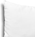 EDOW Throw Pillow Inserts, Set of 4 Lightweight Down Alternative Polyester Pillow, Couch Cushion, Sham Stuffer, Machine Washable. (White, 14x14)