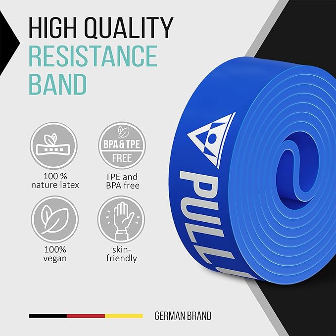 Pullup & DIP Fitness Bands, Resistance Bands with Bag, Door Anchor (with Sets) and Exercise Guide - Single & in Value Set, Pull-Up Band Fitness Band for Calisthenics