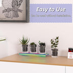 Sezanrpt Acrylic Shelf Riser 12x3.9x1 pack of 2, Iridescent Display Shelf 12” for Shoes, Glasses, Plants, Home Decors, Perfume, 12x3.9x1 Inch