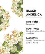 Maison Berger - Black Angelica - Air Freshener - Fragrance Refill for Reed Sticks and Ceramic Diffuser - 6.76 Fluid Ounces - 200 Milliliters