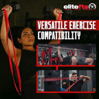EliteFTS Pro Resistance Band - Boost Core Stability and Flexibility with This Portable, Joint-Friendly Tool