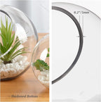 WGV Slant Cut Bowl Glass Vase Bulk, Width 5.5", Height 5.5", Clear Round Globe Planter Terrarium Orb, Candy Dish, Fruit Jar, Floral Container for Home Office Decor, 12 Pieces