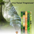HEM Forest, Cedar, Pine, Rain Forest & First Rain Incense Sticks Combo – 5 Fragrances | 120 Sticks Total | Handcrafted, Long-Lasting Aroma for Meditation, Yoga, Relaxation & Home Freshness