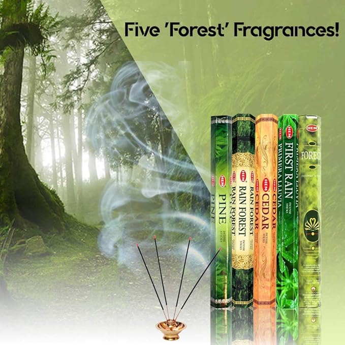 HEM Forest, Cedar, Pine, Rain Forest & First Rain Incense Sticks Combo – 5 Fragrances | 120 Sticks Total | Handcrafted, Long-Lasting Aroma for Meditation, Yoga, Relaxation & Home Freshness