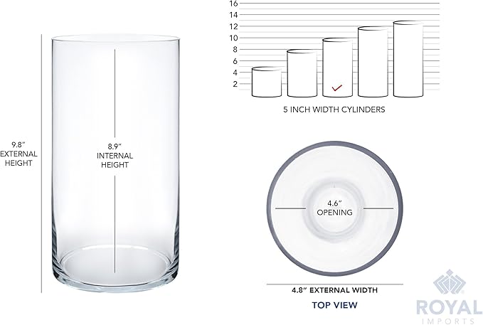 Royal Imports Flower Glass Vase Decorative Centerpiece for Home or Wedding - Cylinder Shape, 10" Tall, 5" Opening, Clear