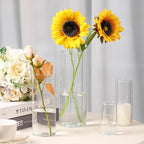 Fixwal 12pcs Clear Glass Cylinder Flower Vases, 4, 6, 8, 10 Inch Tall Cylinder Vases for Centerpieces, Glass Flower Vase Floating Candle Holder Vase for Table Shelf, Party, Wedding, Home Decor