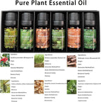 HIQILI Woodsy Fragrance Oil Set for Aromatherapy, Essential Oil Diffuser, Ideal for DIY Candles & Perfume Making, Massage Oil - Cedarwood, Frankincense, Vetiver, Rosewood, Cypress - 6x10ml