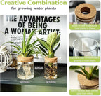 Glass Propagation Stations for Plants -Desktop Flower Vases,Propagation Flower Vases Set – 2 Large & 2 Small for Plant Cuttings，for Living Room, Bedroom Decoration,Home,Office Decor (8)