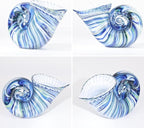DOVDOV Hand Blown Glass Shell Decoration, Art Glass Conch Sculpture, Colorful Shell Statue for Room Office Coffee Table Living Room TV Stand Cum Home Decoration.