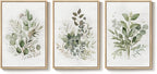 Framed Botanical Wall Art for Living Room, 3 Piece Neutral Sage Green Eucalyptus Leaf Canvas Prints, Modern Minimalist Watercolor Plant Pictures for Dining Room Bedroom Office Wall Decor, 16x24 inch